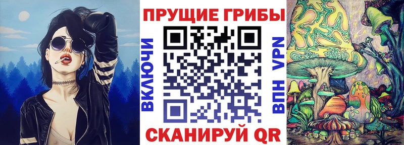 Галлюциногенные грибы GOLDEN TEACHER Новошахтинск