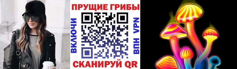 Псилоцибиновые грибы прущие грибы  кракен tor  Новошахтинск  продажа наркотиков 