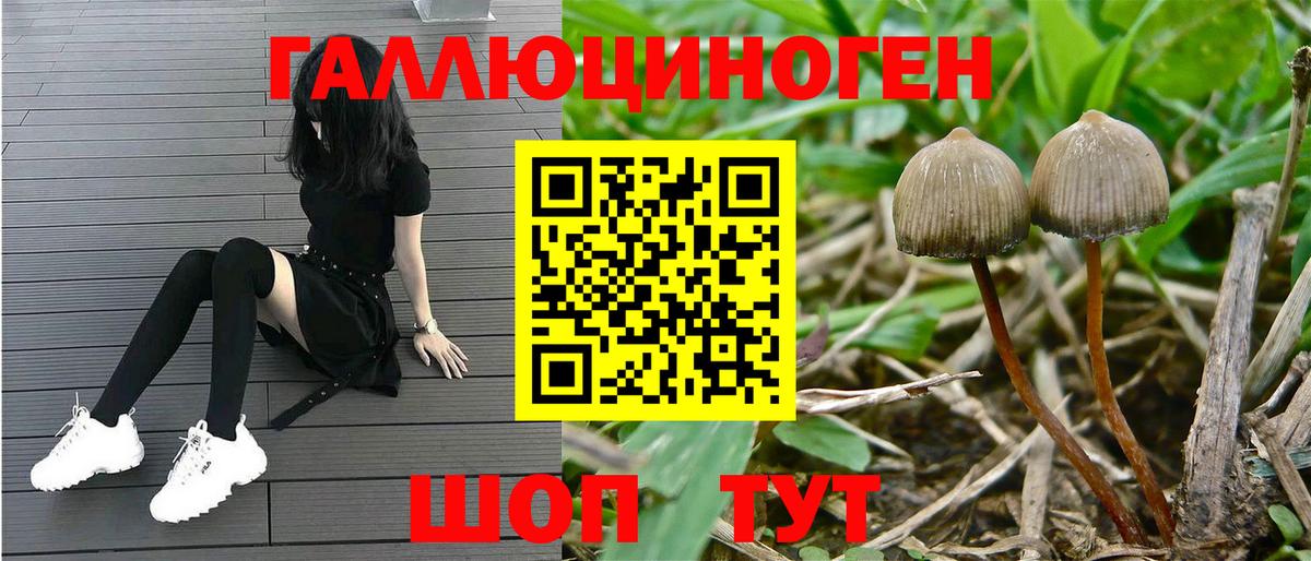 Псилоцибиновые грибы Magic Shrooms Новошахтинск